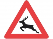 A26 vejskilt 70 cm. Dyrevildt advarselstavle