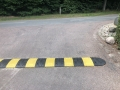 vejbump